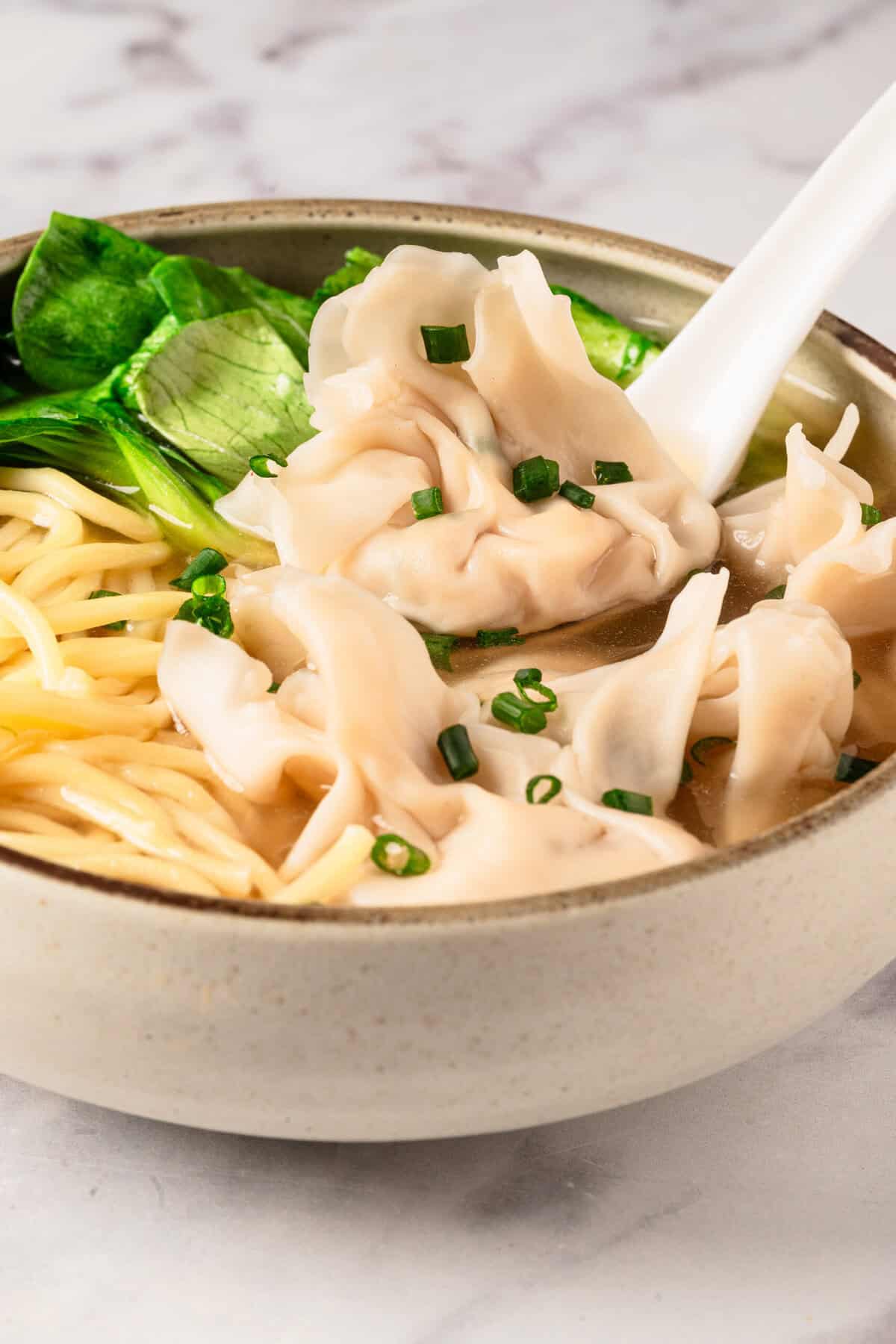 Wonton Noodles - foodfaithfitness